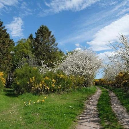 Lower Bruntlands Fochabers Bagian luar foto