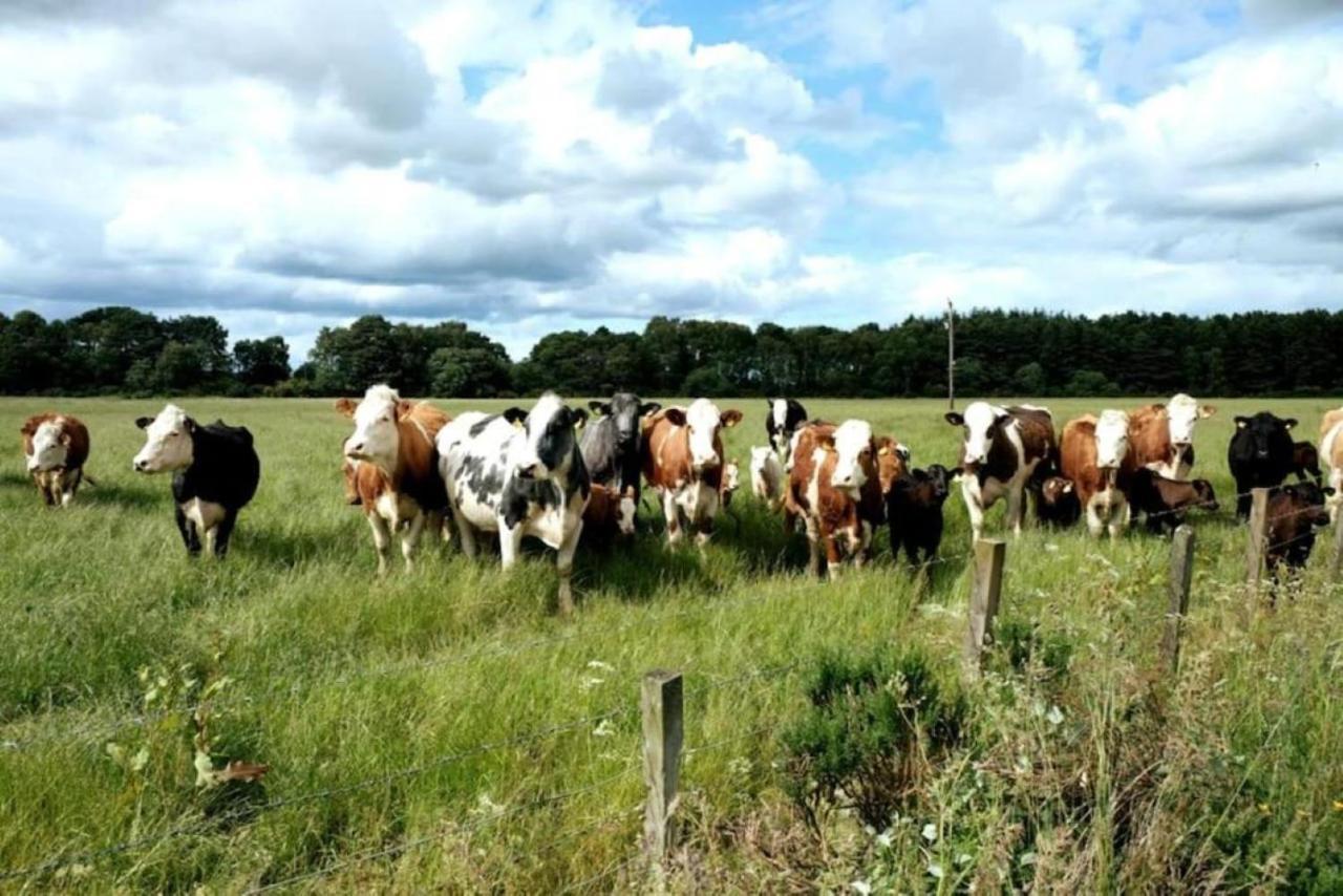 Lower Bruntlands Fochabers Bagian luar foto